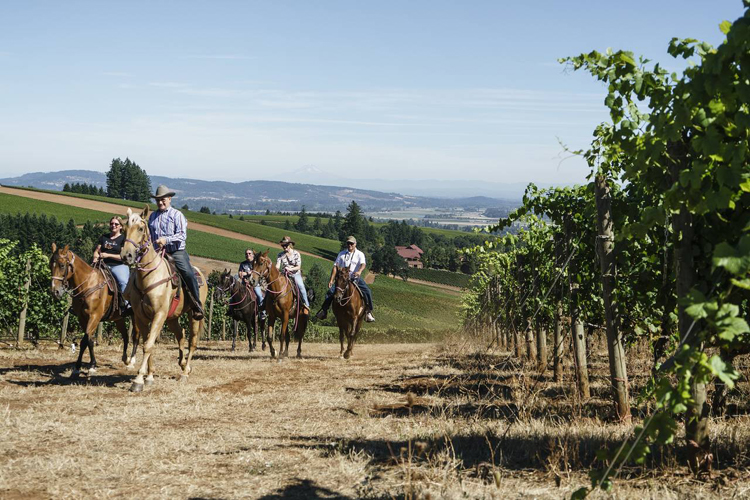 Oregon's Willamette Valley: Wine Country Travel Without the Headaches